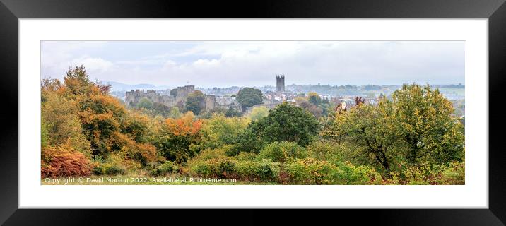 Ludlow Castle and St Laurence Church from Whitcliffe viewpoint in the autumn Framed Mounted Print by David Morton