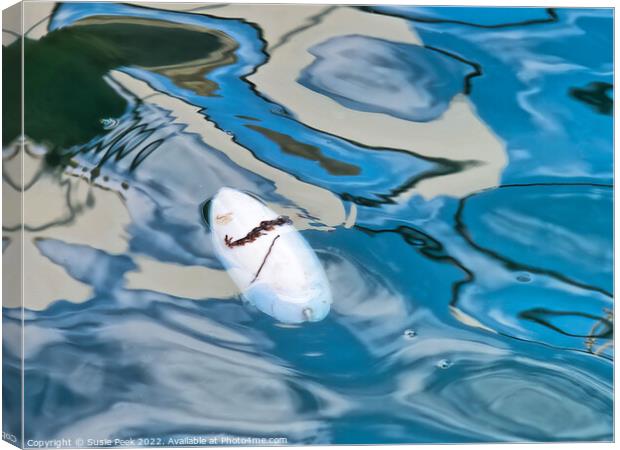 Floating Cuttlefish Bone with Abstract Reflections Canvas Print by Susie Peek