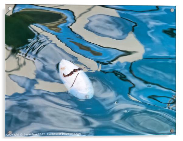 Floating Cuttlefish Bone with Abstract Reflections Acrylic by Susie Peek