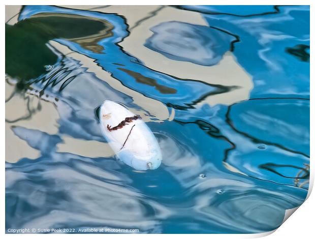 Floating Cuttlefish Bone with Abstract Reflections Print by Susie Peek