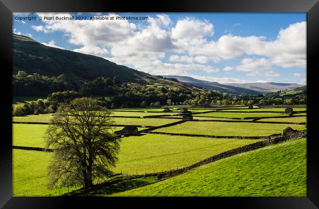 Swaledale Countryside in Yorkshire Dales Framed Print by Pearl Bucknall