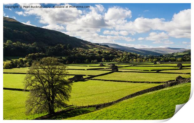 Swaledale Countryside in Yorkshire Dales Print by Pearl Bucknall