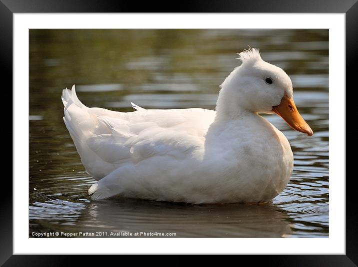 A Happy Goose Framed Mounted Print by Pepper Patton