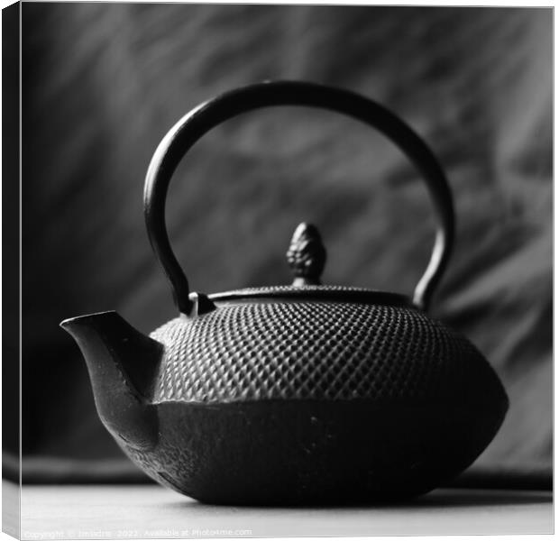 The Black Teapot, Monochrome  Canvas Print by Imladris 