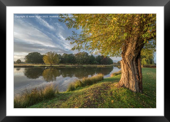 Low sunlight at dawn in October Framed Mounted Print by Kevin White