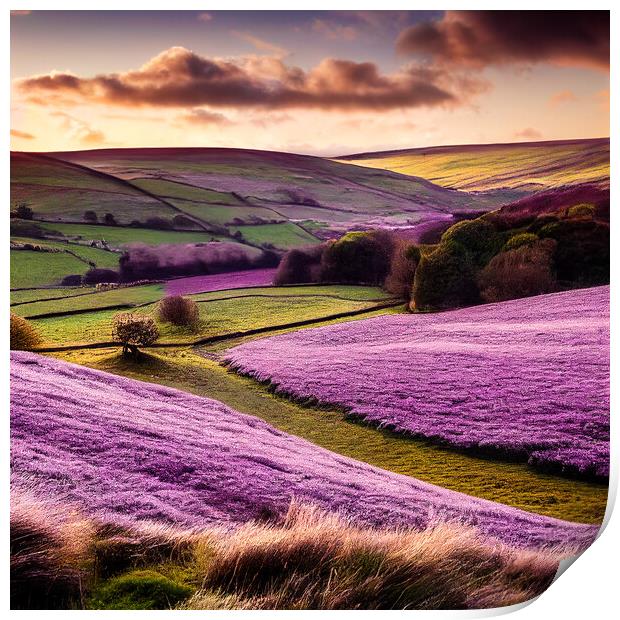Heather on The Yorkshire Dales Print by Adam Kelly