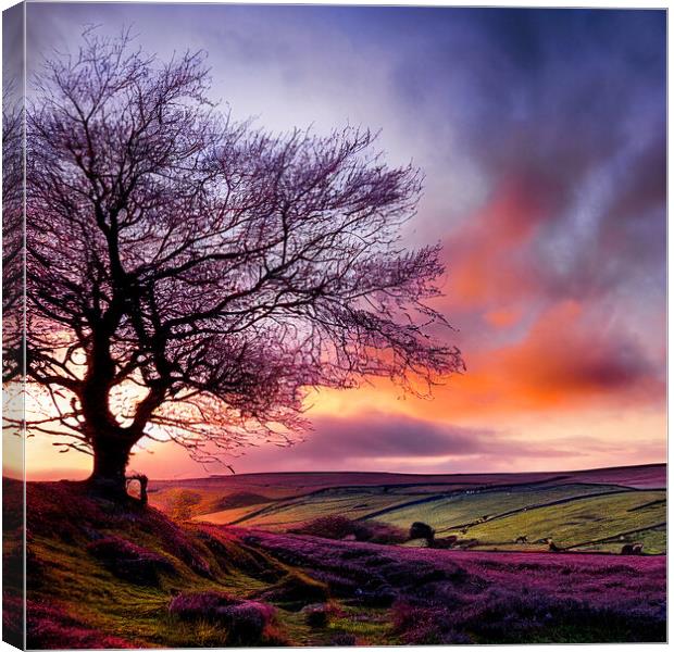 The Lone Tree of The Yorkshire Dales Canvas Print by Adam Kelly