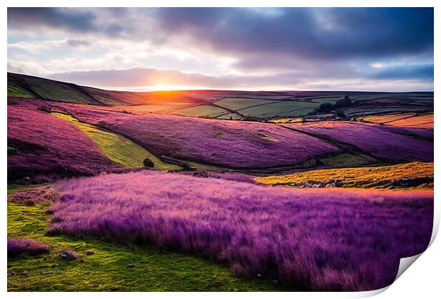 Heather on The Hills, Yorkshire Dales Print by Adam Kelly