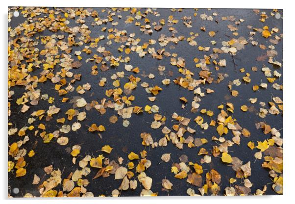 Fallen Autumn Leaves On Park Alley Background Acrylic by Artur Bogacki