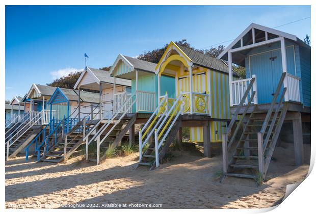 Wells next the Sea Colourful beach huts Print by Richard O'Donoghue
