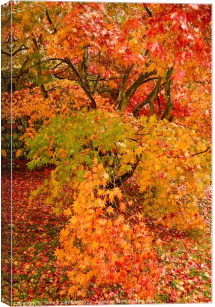 Autumnal leaves Canvas Print by Simon Johnson