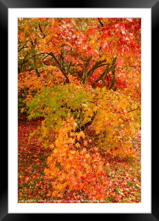 Autumnal leaves Framed Mounted Print by Simon Johnson