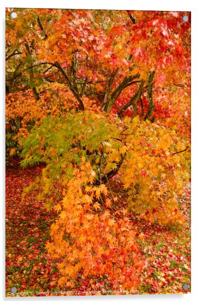 Autumnal leaves Acrylic by Simon Johnson