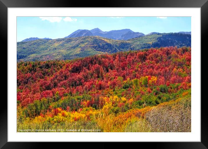 The Glory of Autumn Framed Mounted Print by Donna Kennedy