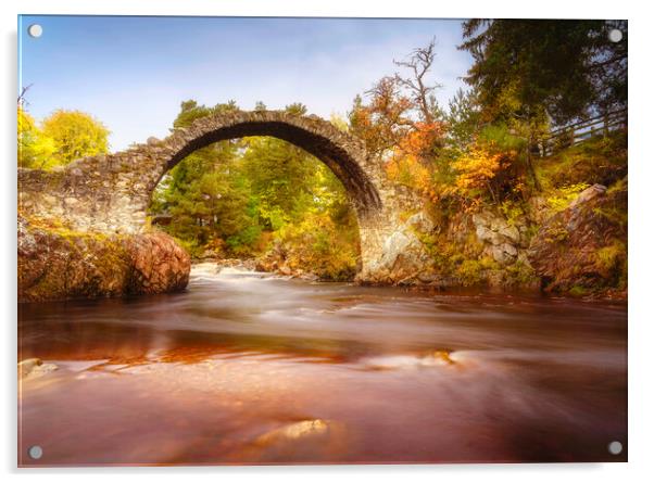 Carrbridge Packhorse Bridge  Acrylic by Anthony McGeever