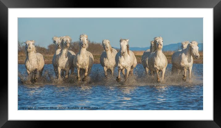 Ten Camargue Horses Framed Mounted Print by Heather Oliver