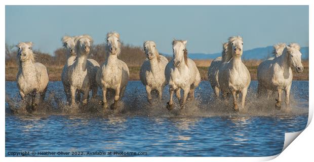 Ten Camargue Horses Print by Heather Oliver