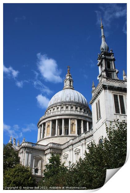 St Paul's Cathedral Print by Andrew Bell