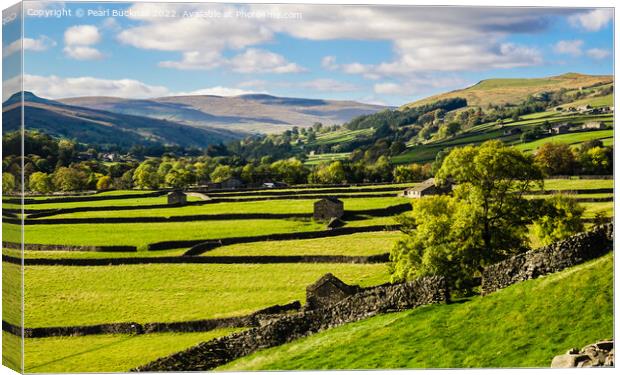 English Countryside Swaledale Yorkshire Dales Canvas Print by Pearl Bucknall