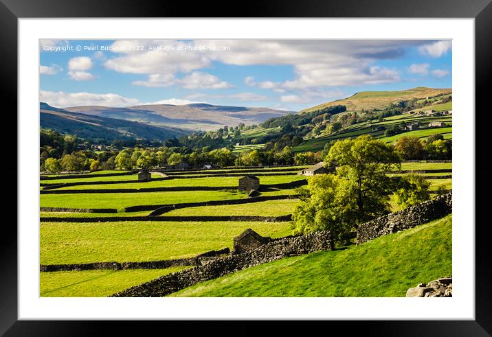 English Countryside Swaledale Yorkshire Dales Framed Mounted Print by Pearl Bucknall