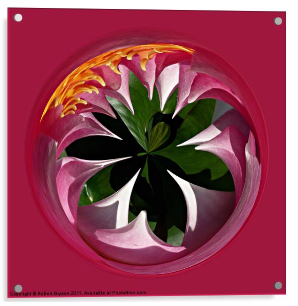 Spherical Lily paperweight Acrylic by Robert Gipson