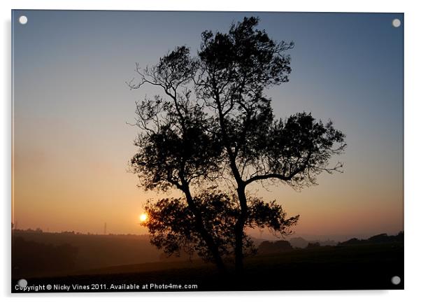 Shuttlesfield Sunset Acrylic by Nicky Vines