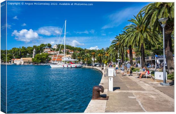 Palm-lined promenade at Cavtat in Croatia Canvas Print by Angus McComiskey