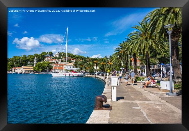Palm-lined promenade at Cavtat in Croatia Framed Print by Angus McComiskey