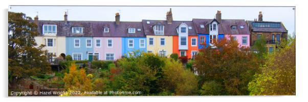 Colourful houses in Alnmouth Acrylic by Hazel Wright