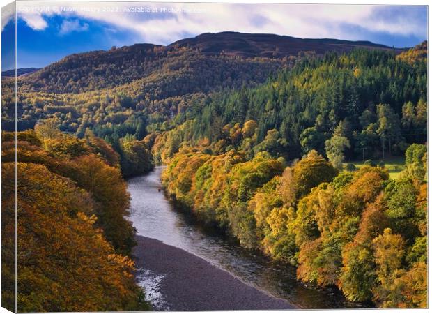 Autumn colours and the River Garry, near Pitlochry, Perthshire Canvas Print by Navin Mistry
