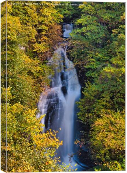 The Black Spout water fall with Autumn colours, Pitlochry, Perthshire Canvas Print by Navin Mistry