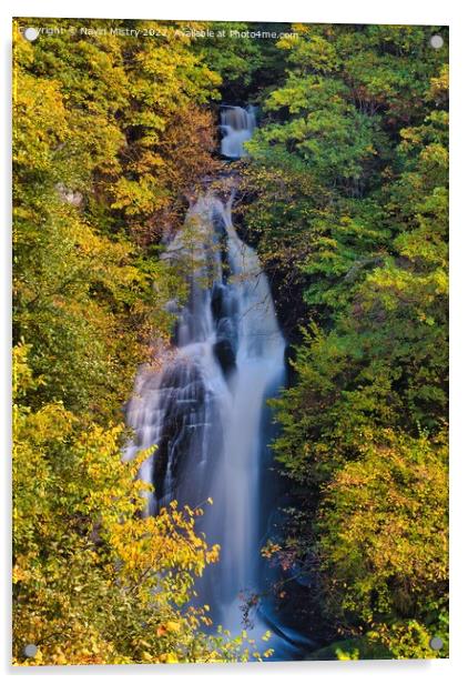 The Black Spout water fall with Autumn colours, Pitlochry, Perthshire Acrylic by Navin Mistry
