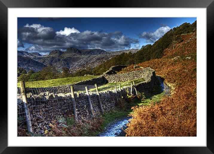 Path to Loughrigg Tarn Framed Mounted Print by Roger Green
