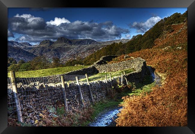 Path to Loughrigg Tarn Framed Print by Roger Green