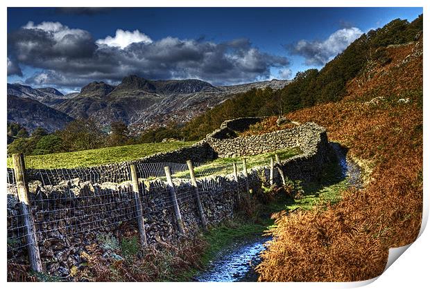 Path to Loughrigg Tarn Print by Roger Green