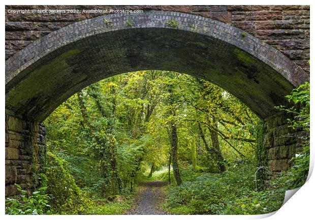 Stone Bridge Overlooking Autumn Woodland Print by Nick Jenkins