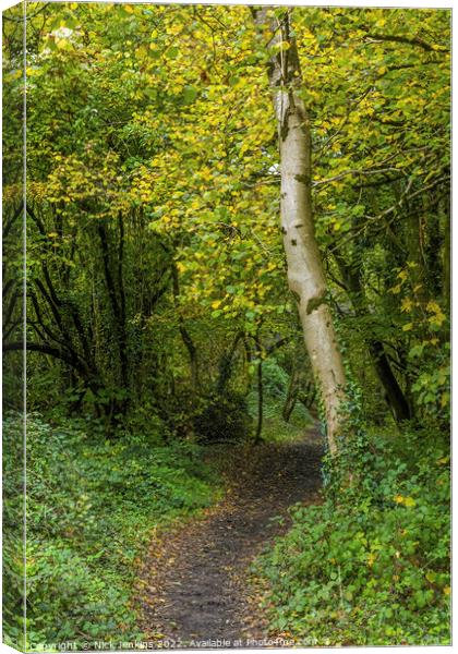 Old Railway Path Track into the Woods  Canvas Print by Nick Jenkins