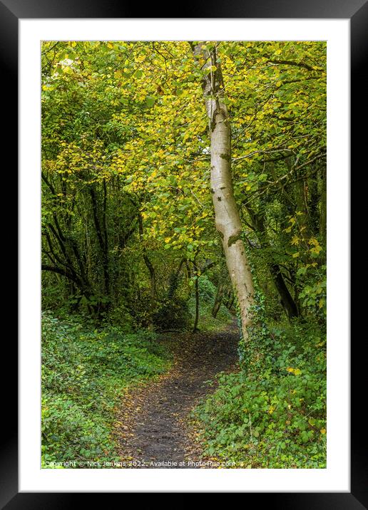Old Railway Path Track into the Woods  Framed Mounted Print by Nick Jenkins