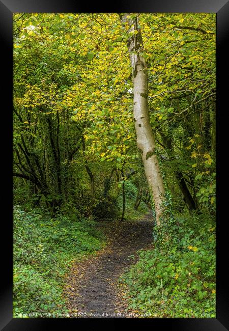 Old Railway Path Track into the Woods  Framed Print by Nick Jenkins