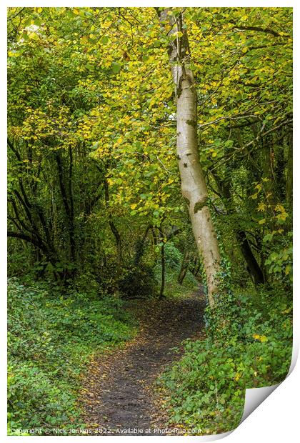 Old Railway Path Track into the Woods  Print by Nick Jenkins