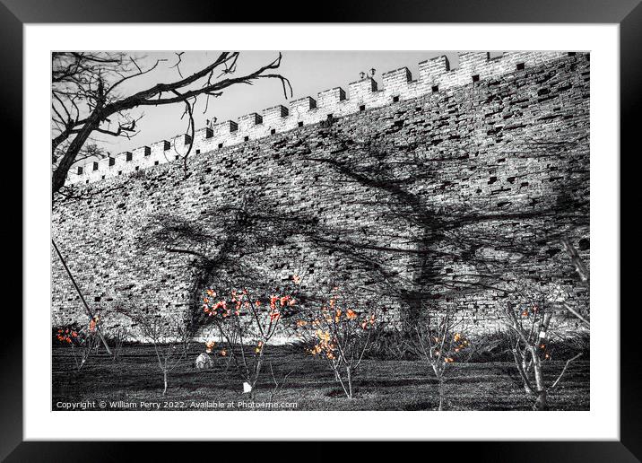 Black White City Wall Park Shadows Beijing China  Framed Mounted Print by William Perry