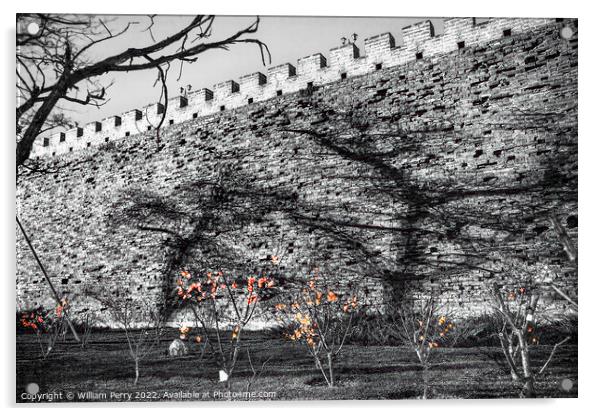 Black White City Wall Park Shadows Beijing China  Acrylic by William Perry