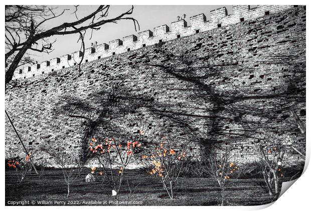 Black White City Wall Park Shadows Beijing China  Print by William Perry