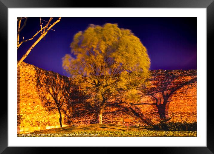 City Wall Park Night Green Willow Beijing China  Framed Mounted Print by William Perry