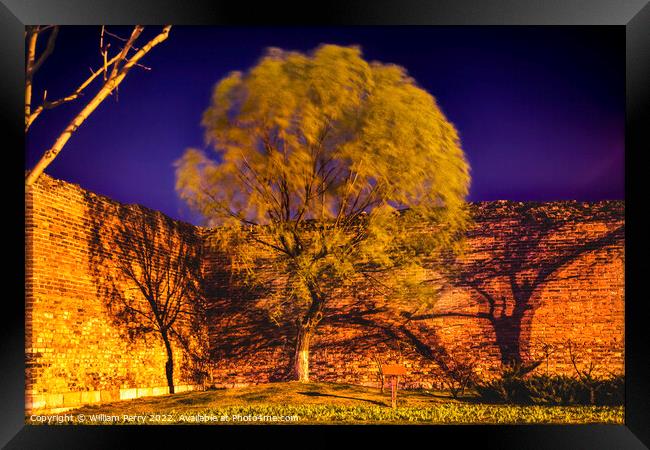 City Wall Park Night Green Willow Beijing China  Framed Print by William Perry