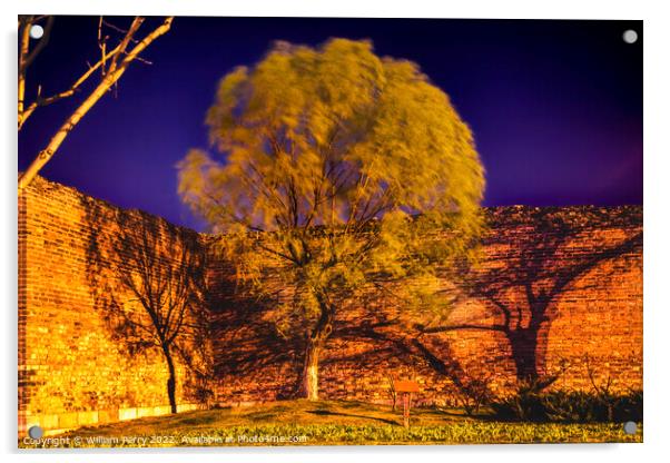 City Wall Park Night Green Willow Beijing China  Acrylic by William Perry