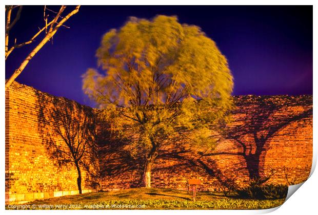 City Wall Park Night Green Willow Beijing China  Print by William Perry