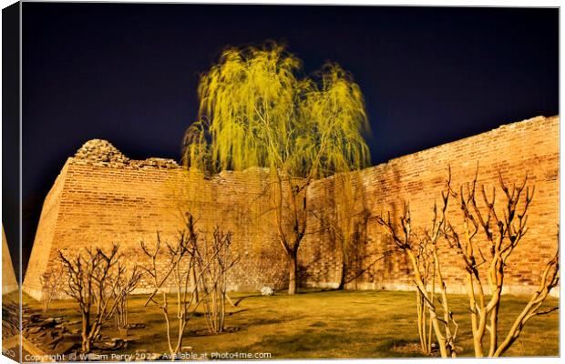 City Wall Park with Willow Tree Beijing China  Canvas Print by William Perry