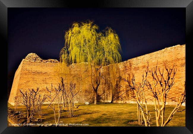 City Wall Park with Willow Tree Beijing China  Framed Print by William Perry