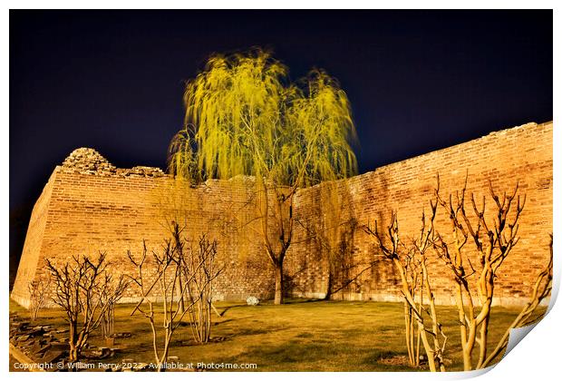 City Wall Park with Willow Tree Beijing China  Print by William Perry